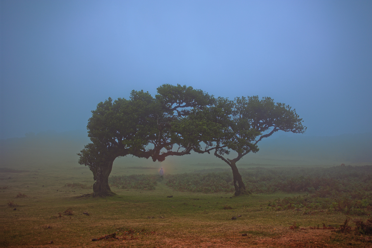 Post_Poetree